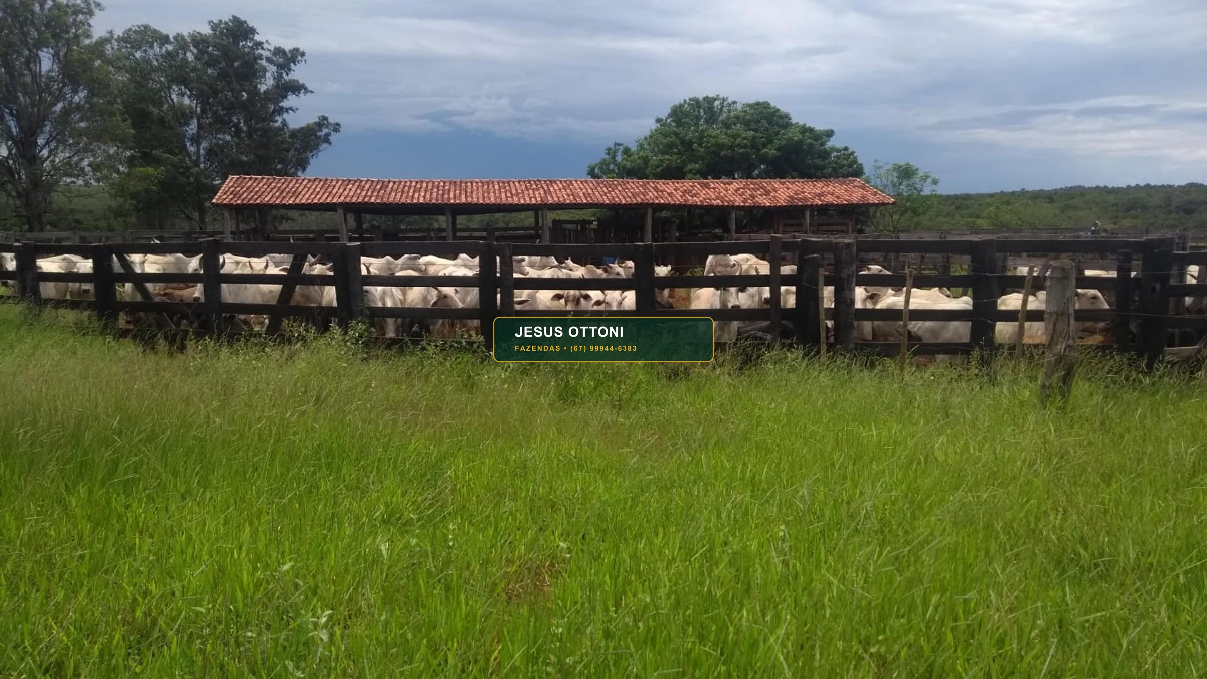 Fazenda 1530 Hectares em Camapuã