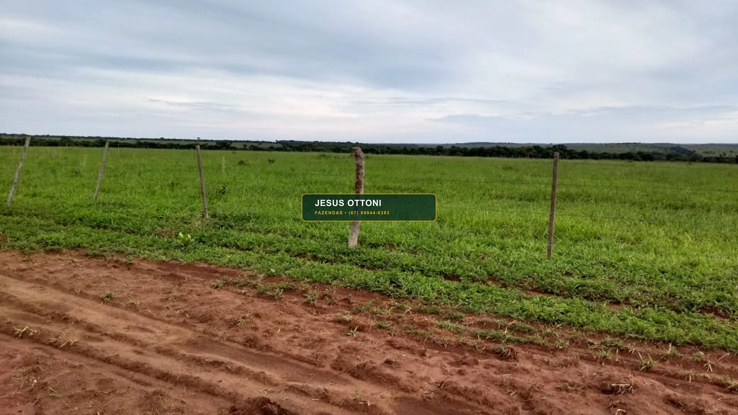 Fazenda 1530 Hectares em Camapuã