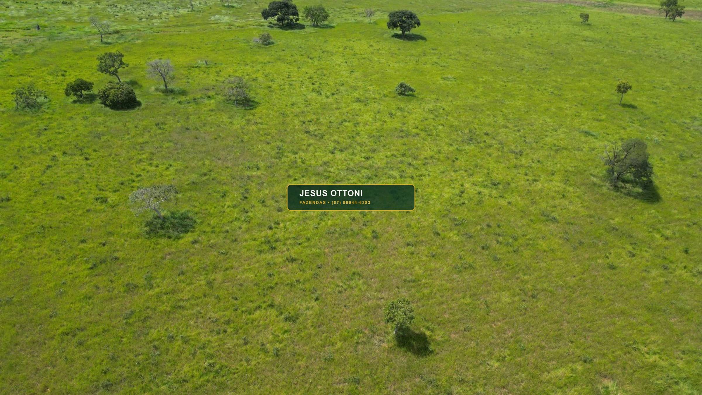 Fazenda à venda de 293 Alqueires paulistas - Água Clara MS
